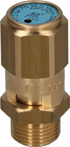 2 Bar Boiler Safety Valve