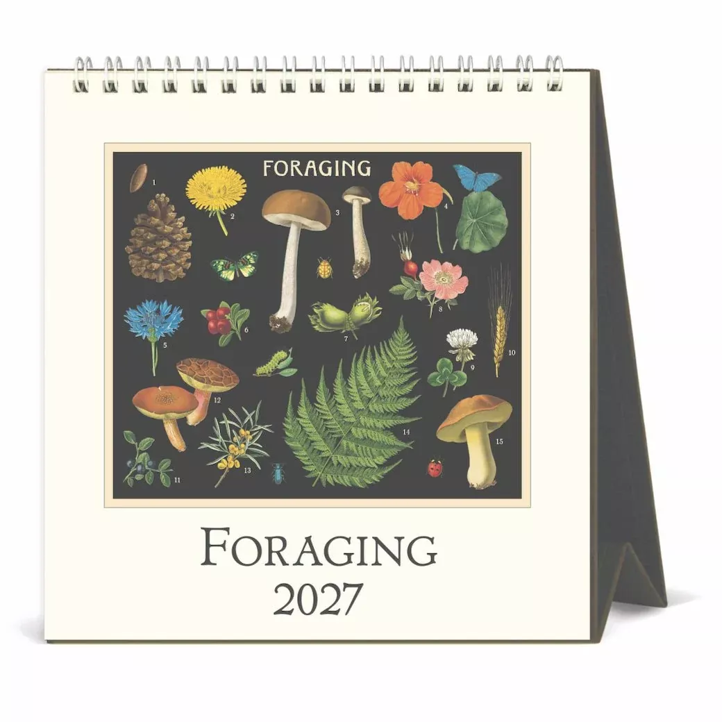 2027 Desk Calendar Foraging