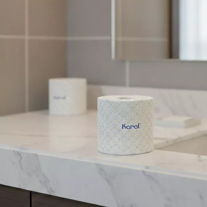 [48 Rolls] Standard 2-ply Toilet Paper Rolls