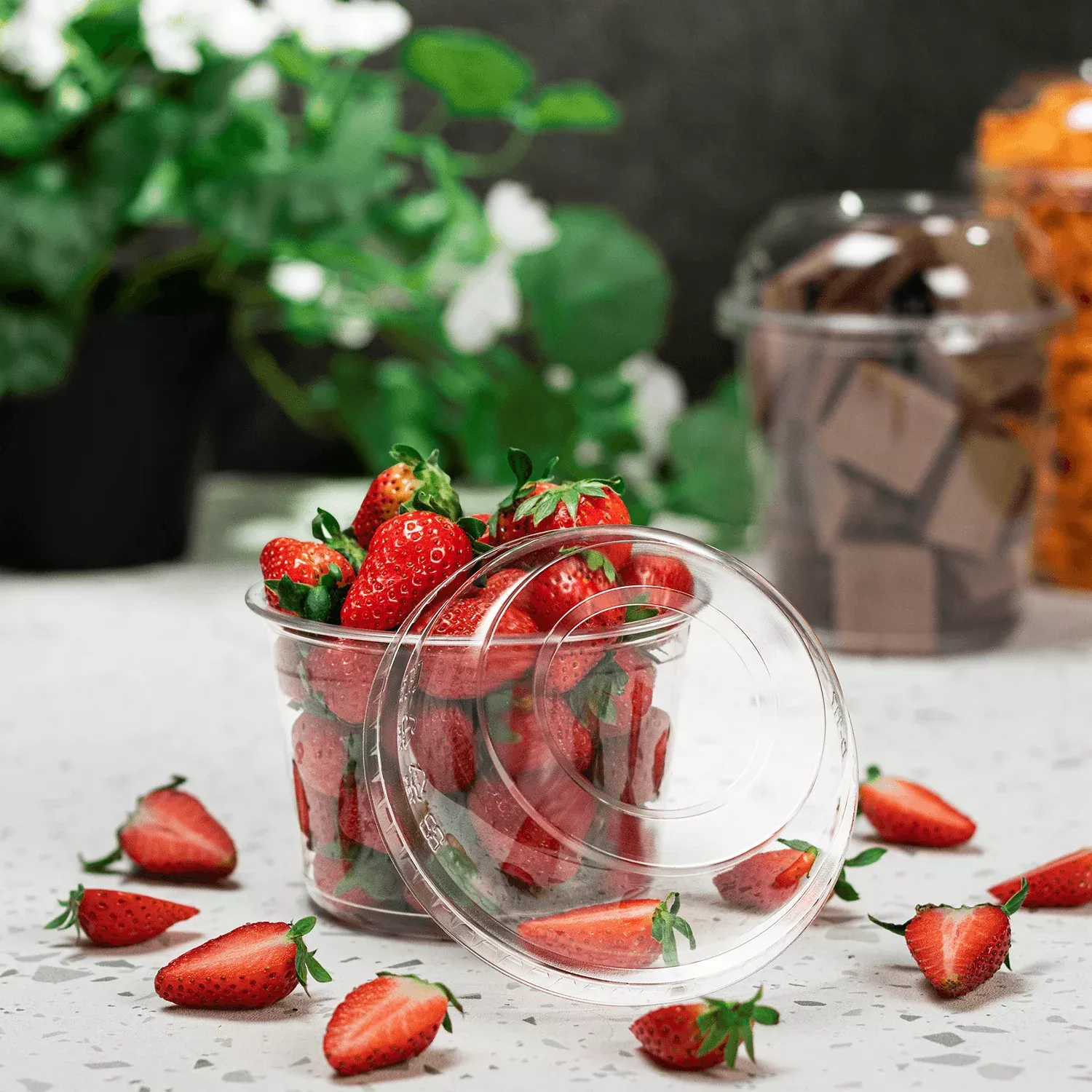 [500 ct] 8-32 oz Deli Container Dome Lids | PET | 117 mm