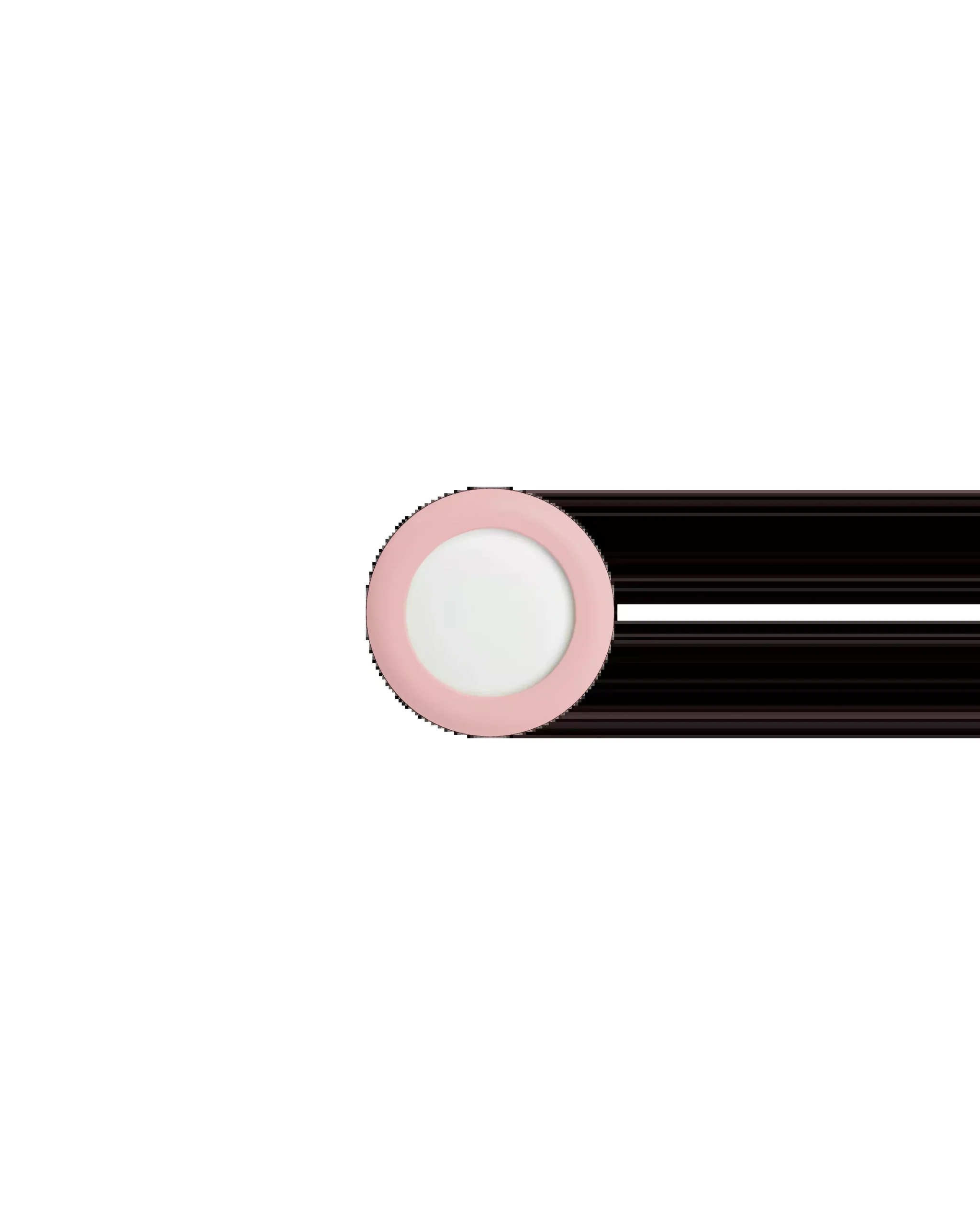 Apple AirTag + Holder - Universal