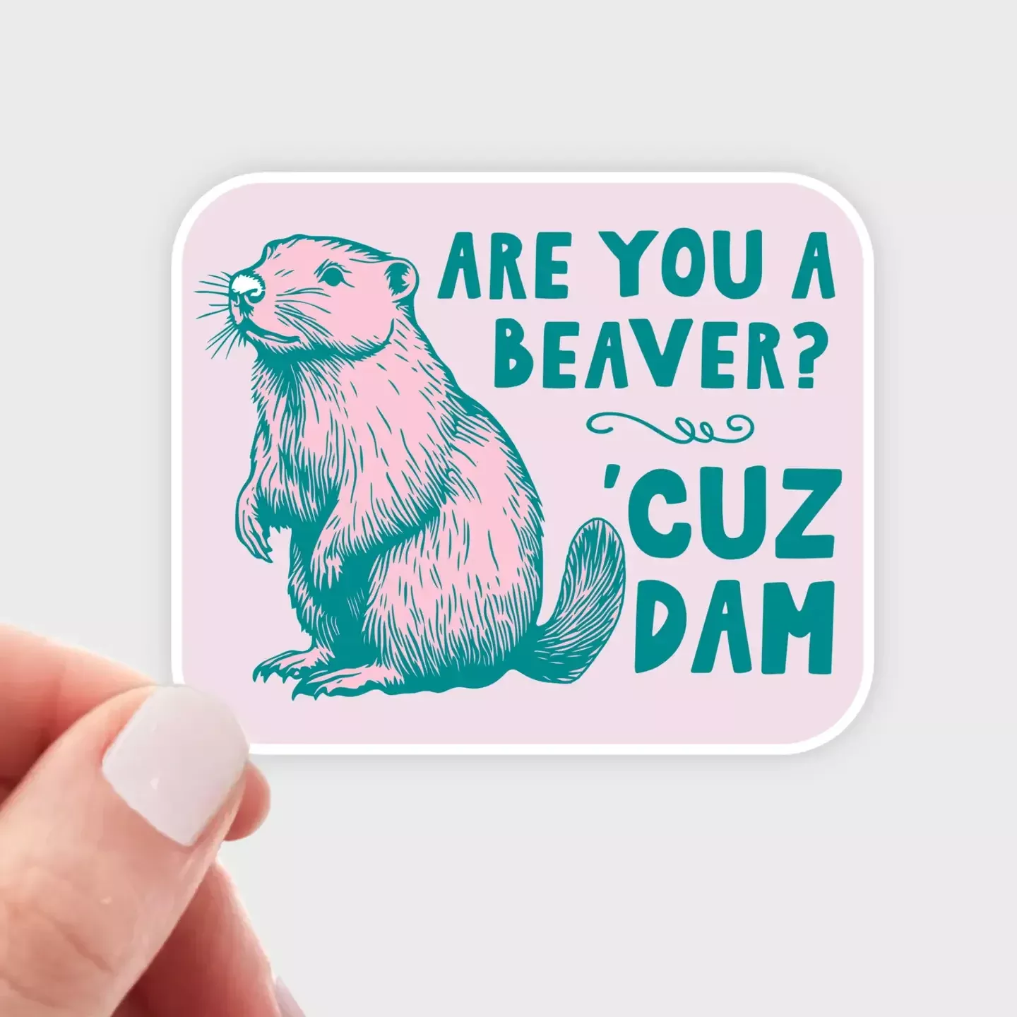 Are You a Beaver 'Cuz Dam Sticker