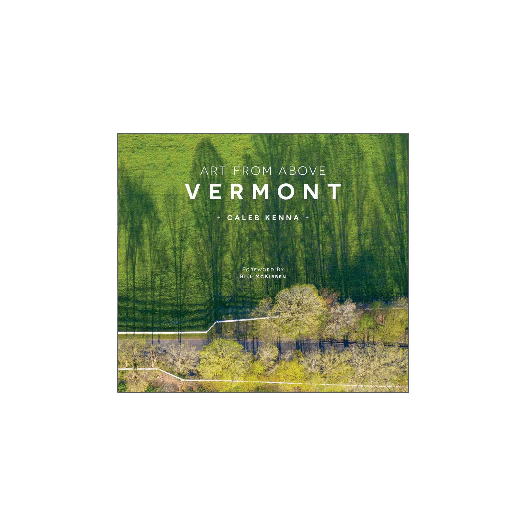 Art from Above Vermont