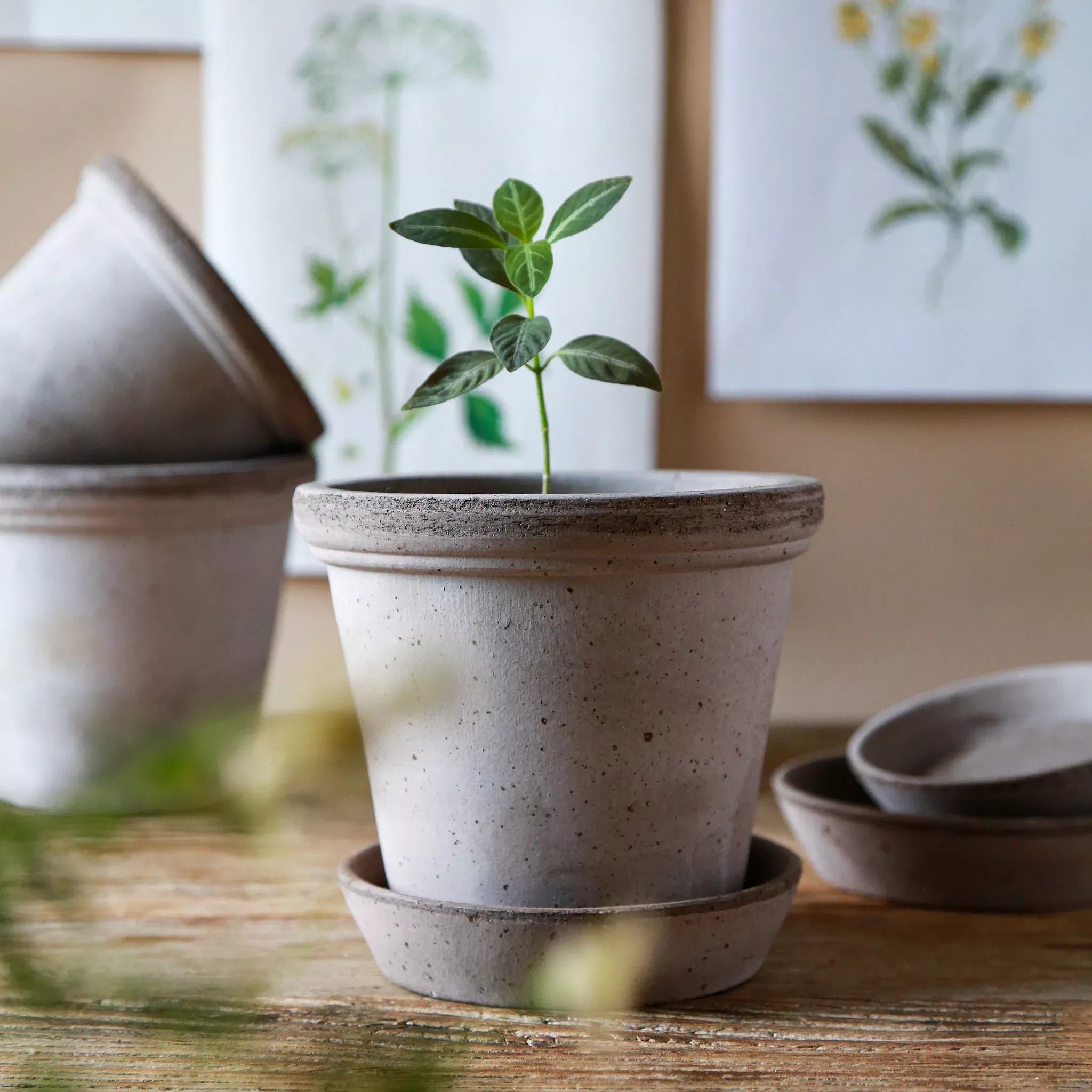 Berg's Pottery Grey Flora Pot Set