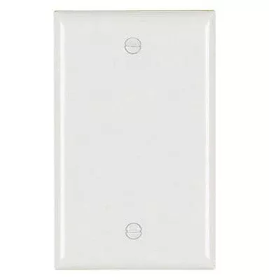 Blank Wall Plate – White