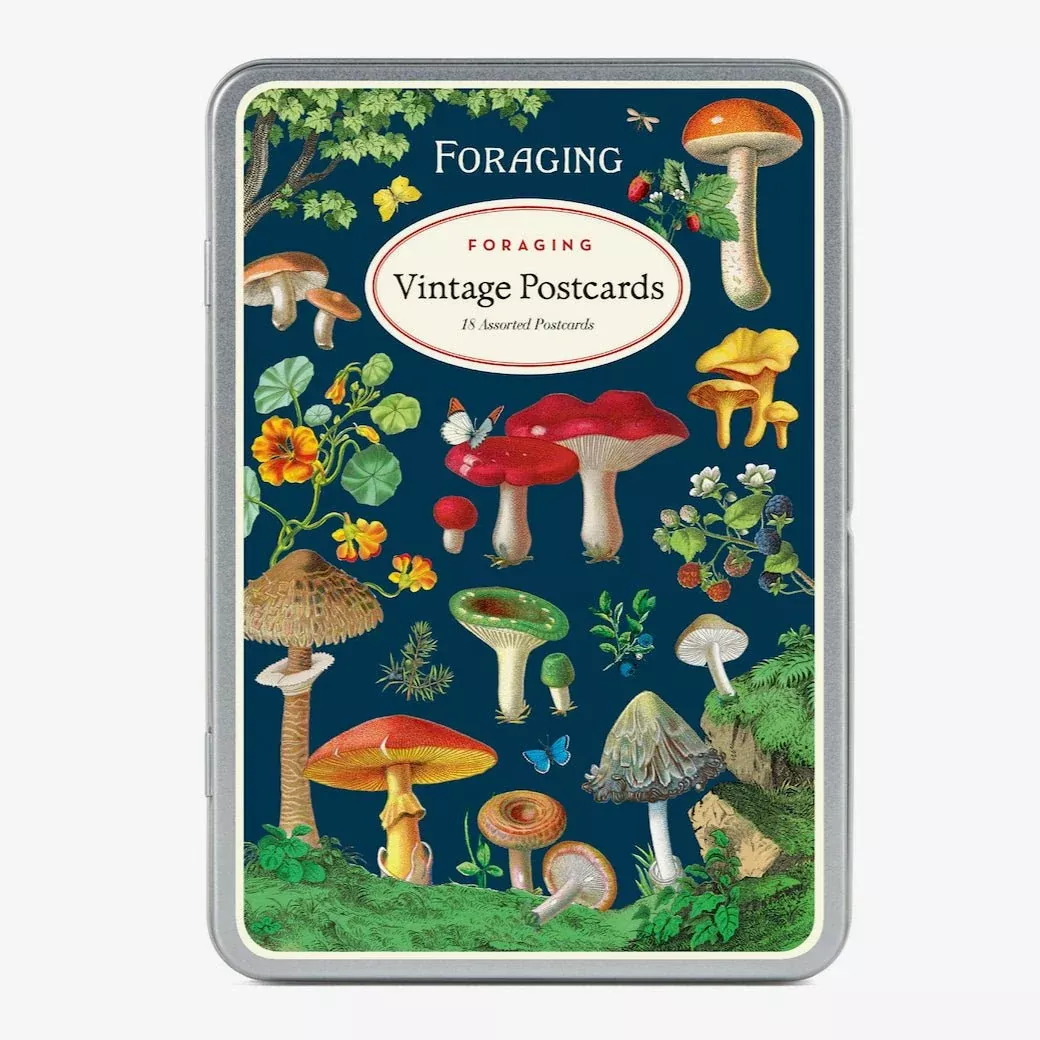 Boxed Set of Twelve Foraging Postcards