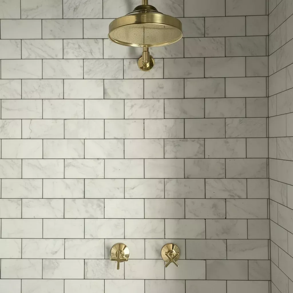 The Brava Shower