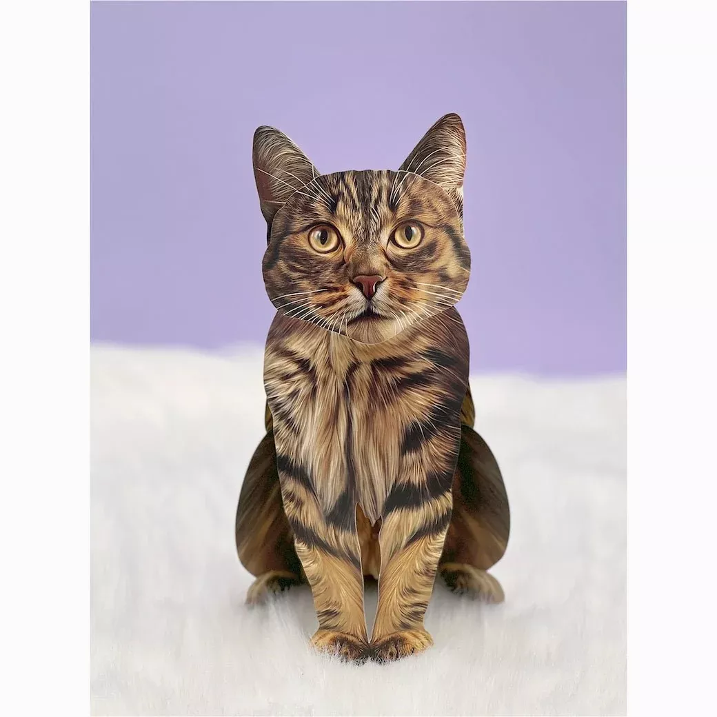 Brown Tabby Cat Pop Up Greeting Card with Accessories