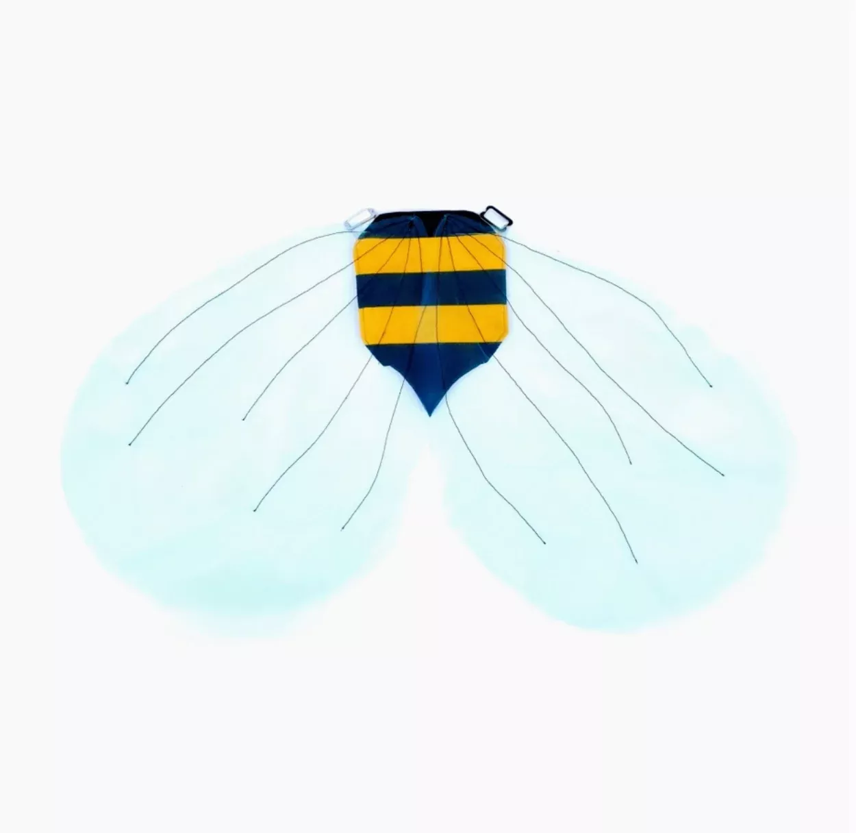 Bumble Bee Wings