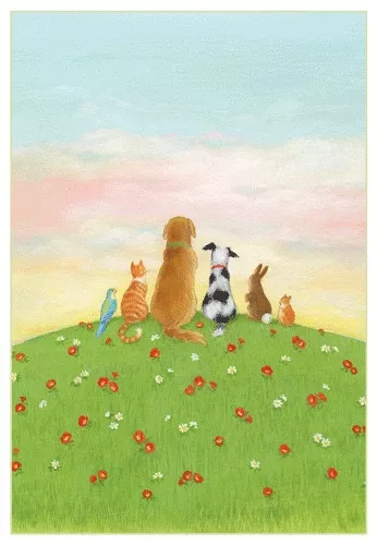 Caspari – Pet Sympathy Card – 1 Card & 1 Envelope