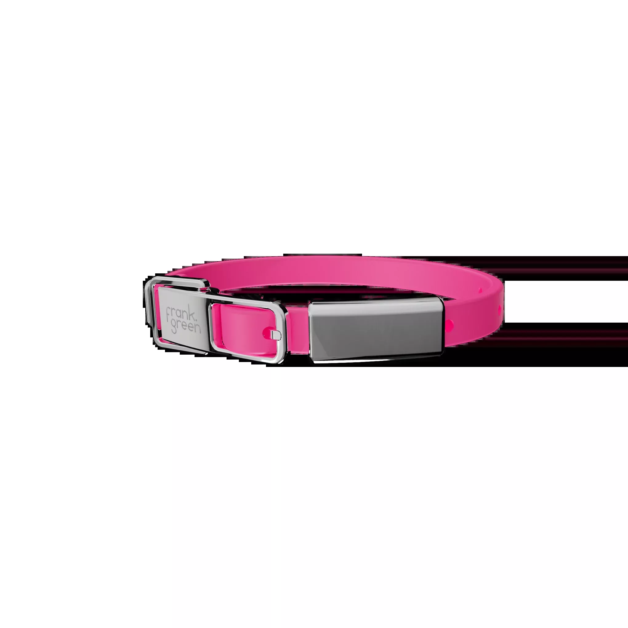 Cat Collar + Name Tag