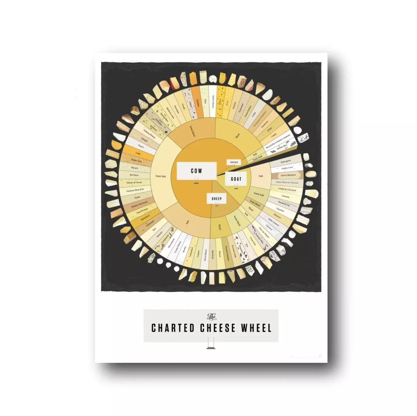 Charted Cheese Wheel Print - 16 x 20 - PICKUP ONLY