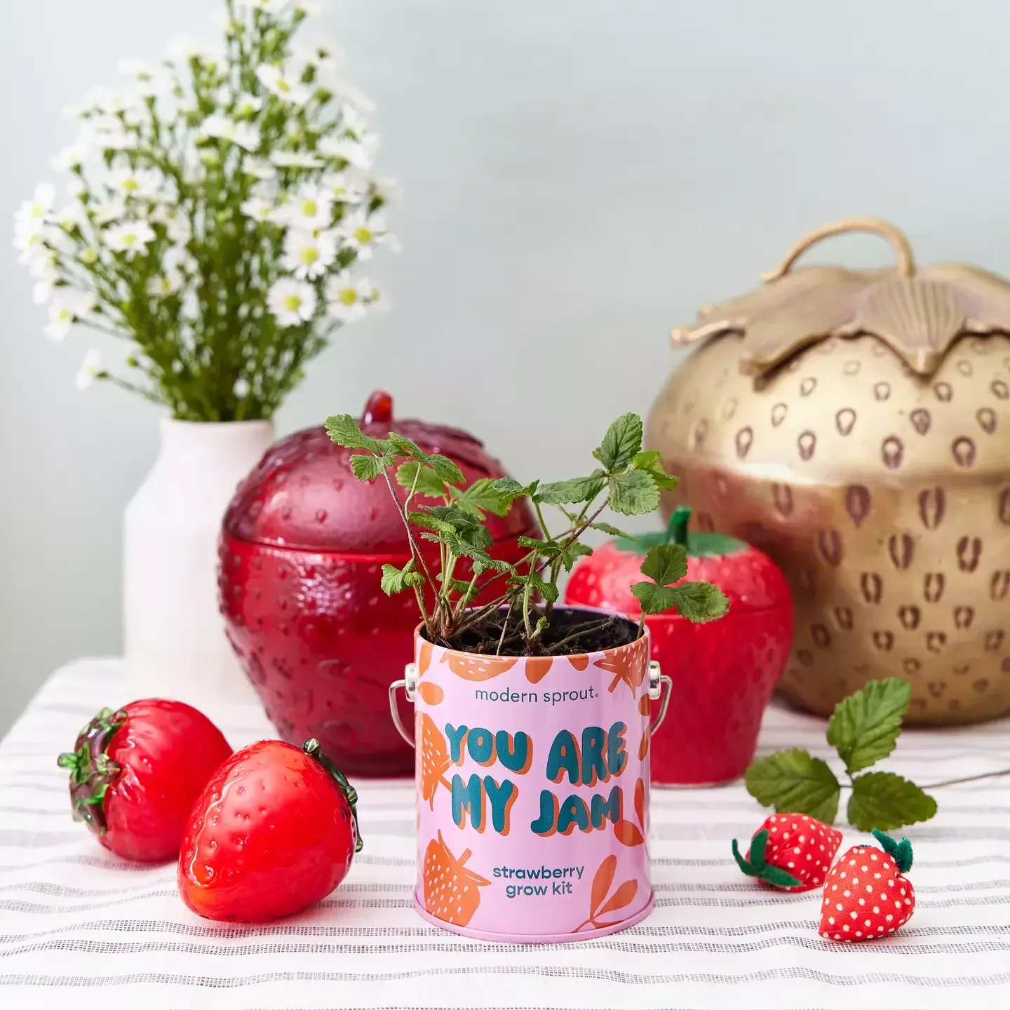 Complimentary Color Grow Kits You Are My Jam