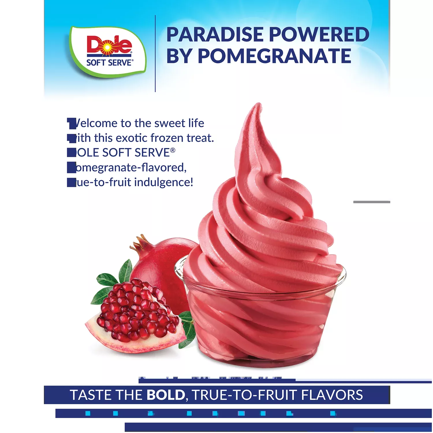 Dole Soft Pomegranate Serve Mix - Bag (4.4 lbs)