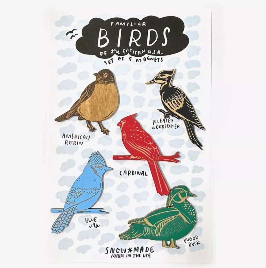 Eastern Birds Magnets - Set of 5