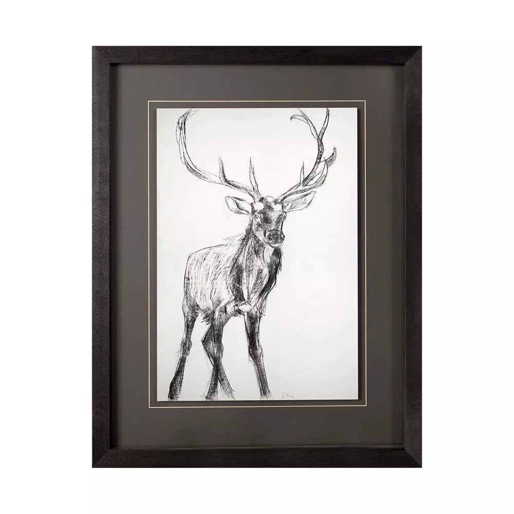 The Elk Framed Print