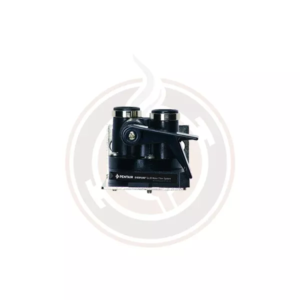 Everpure QL3B Head 3/8" NPT EV925924