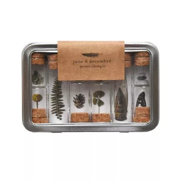 Explorer's Specimen Foraging Collecting Kit