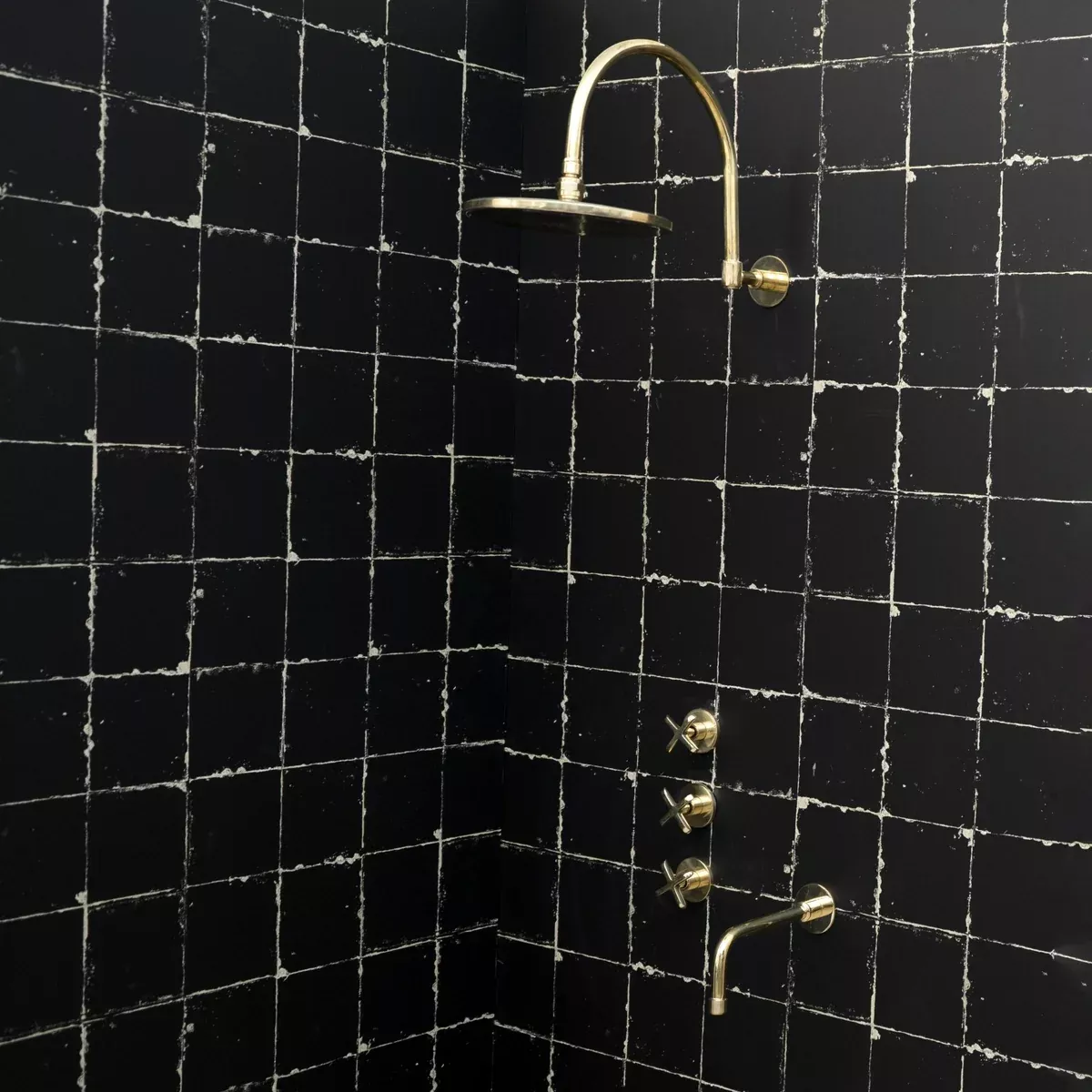 The Fanus Shower System