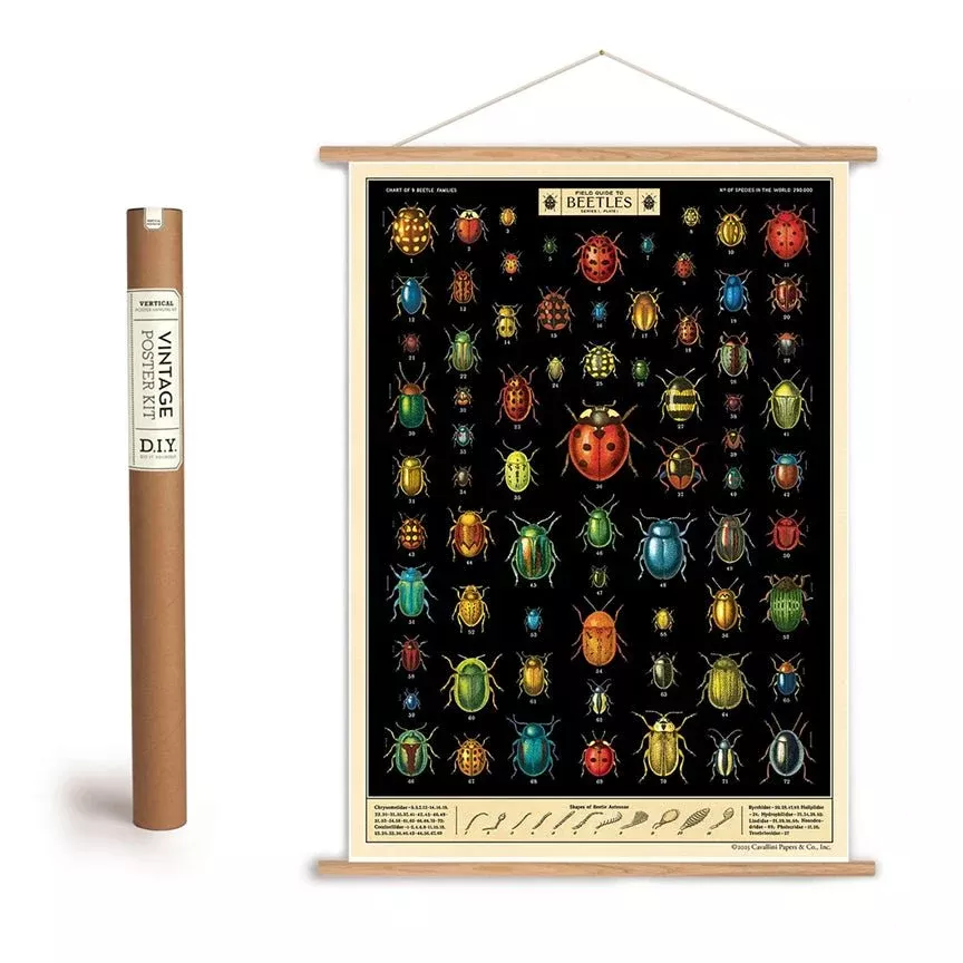 Field Guide to Beetles Art Poster + Hanging Kit