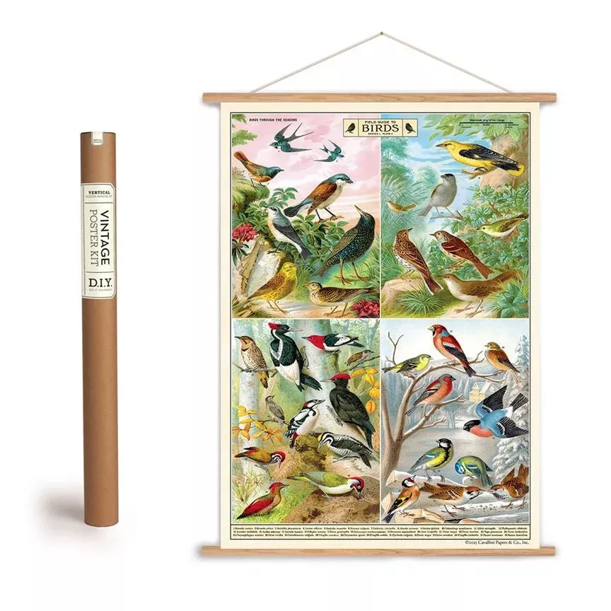 Field Guide to Birds Through the Seasons Art Poster + Hanging Kit