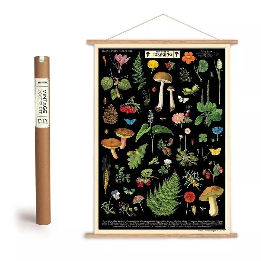 Field Guide to Foraging Art Poster + Hanging Kit
