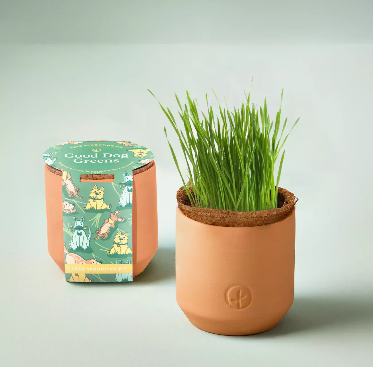 Good Dog Greens Grow Kit