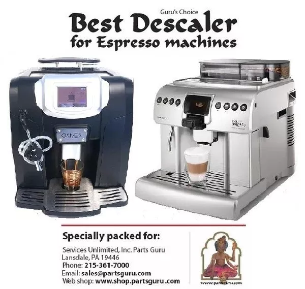 Guru's Choice Best Descaler 6 Packs