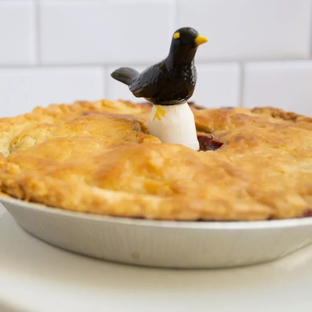 Hand-Painted Blackbird Pie Vent Ceramic Porcelain