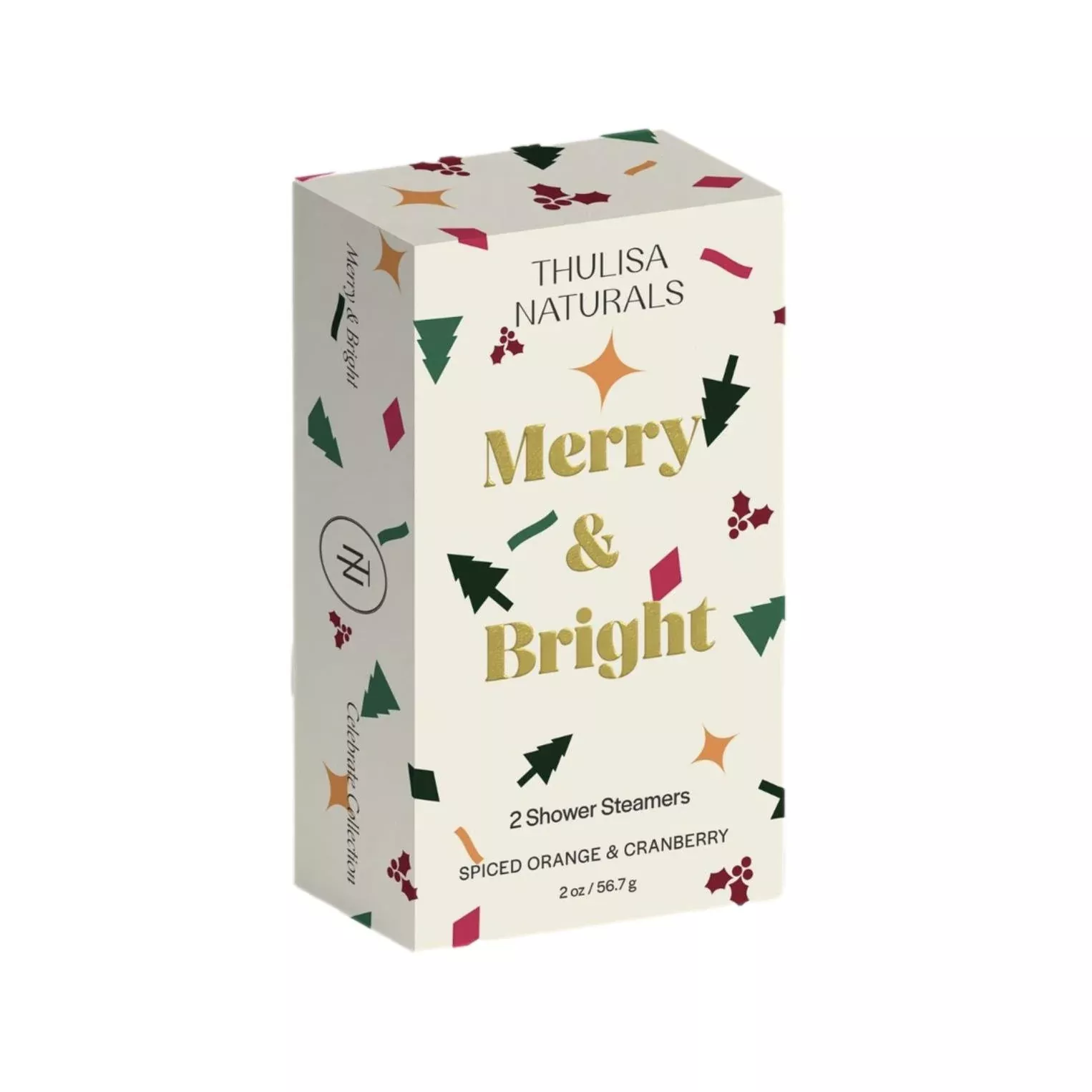 Holiday Spiced Orange + Cranberry Shower Steamers - 2 Pack