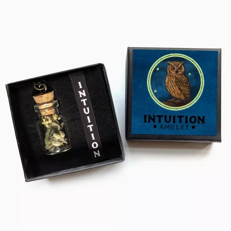 Intuition Amulet - Insight & Clarity Talisman Necklace w Owl