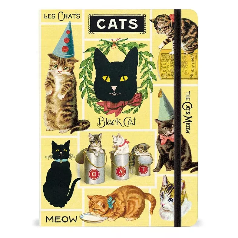 Large Cats & Kittens Notebook 6x8"
