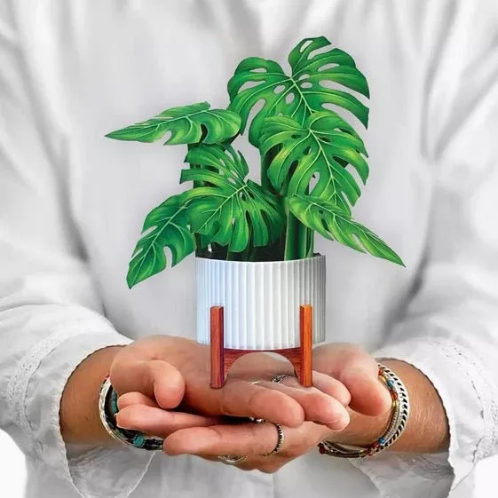 Mini Monstera Plant Pop Up Greeting Card