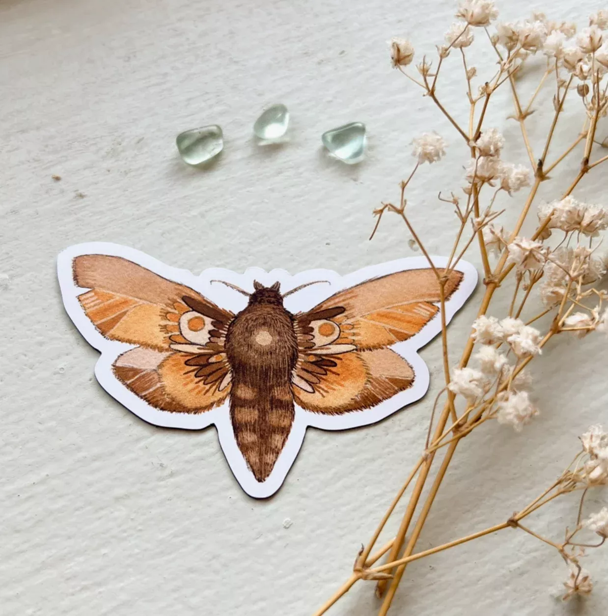 Moth 6 Magnet