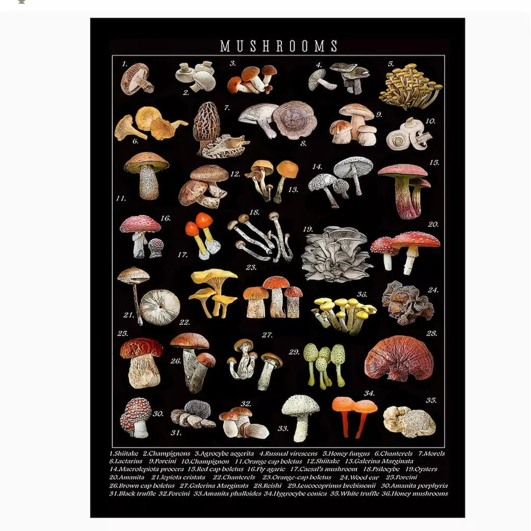 Mushroom Varieties Flour Sack Kitchen Towel