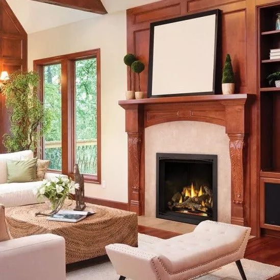 Napoleon Elevation X 36 Direct Vent Propane Gas Fireplace
