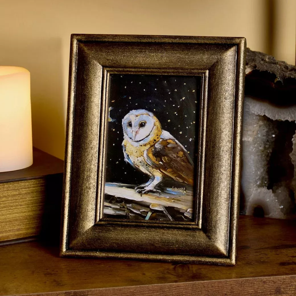 Night Barn Owl Framed Print
