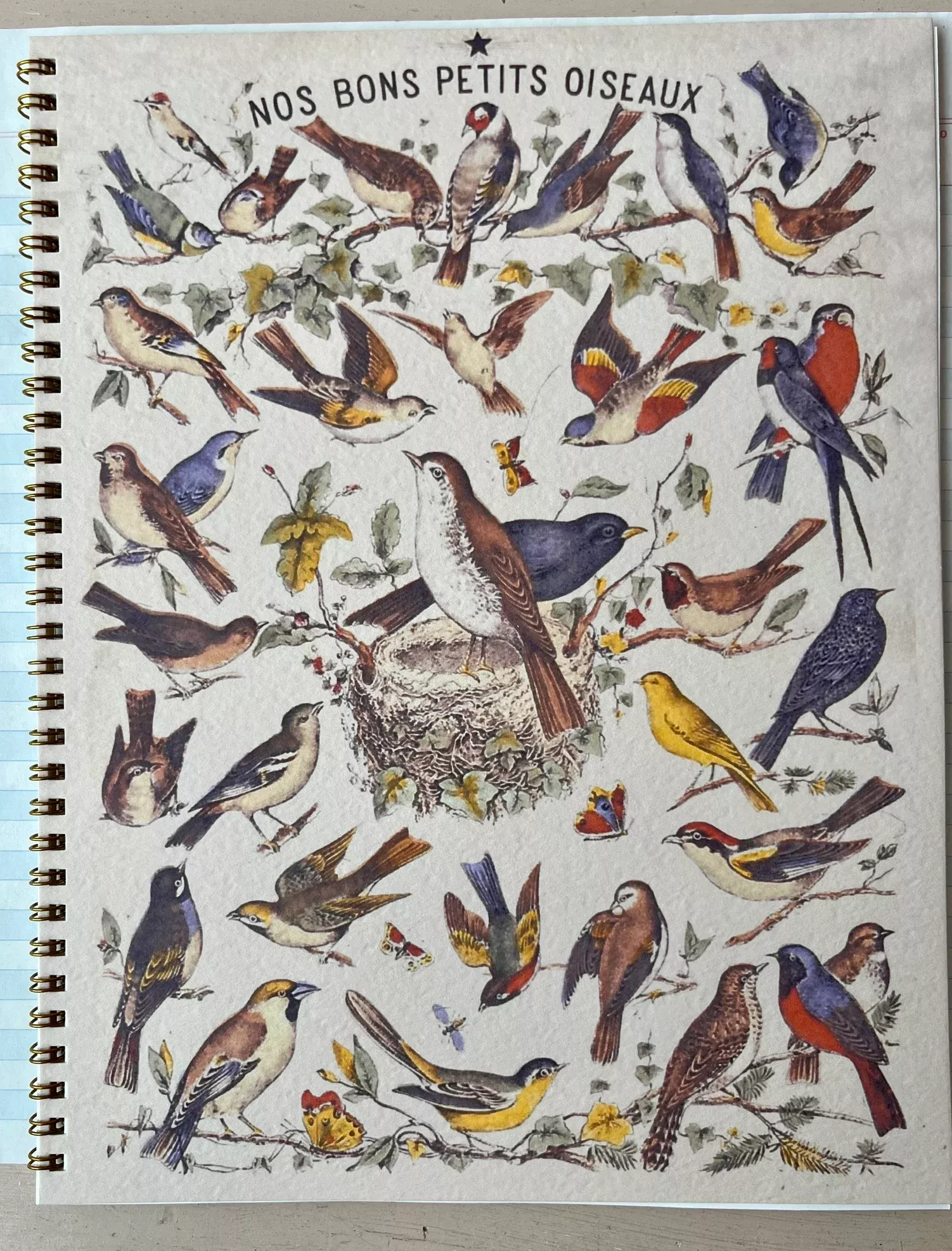 Notebook Unlined Birds