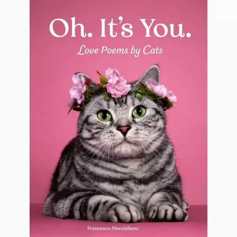 Oh It’s You - Love Poems From Your Cat