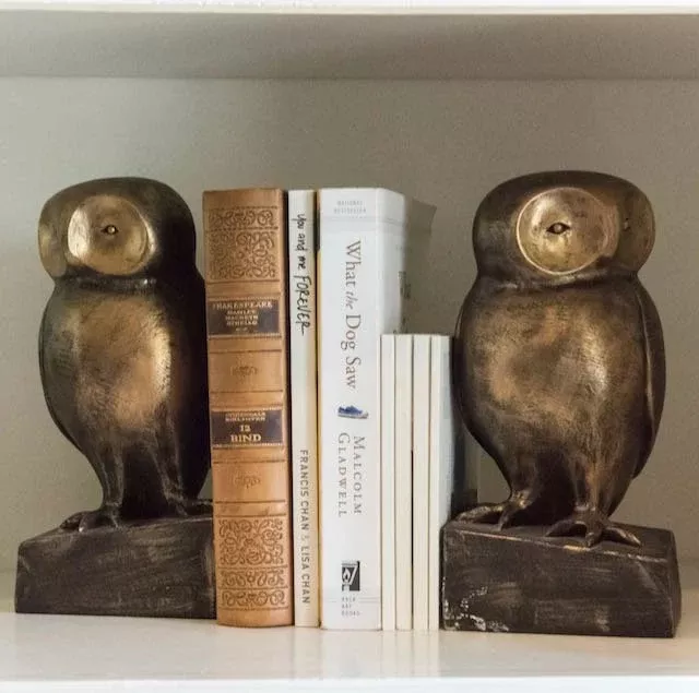 Pair of Cast Resin Owl Bookends