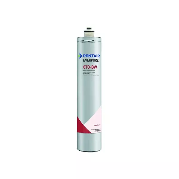 Pentair Everpure 6TO-BW Cartridge EV960746
