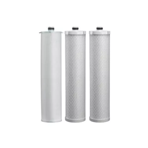 Pentair Everpure CB20-312E Cartridge Kit EV910534
