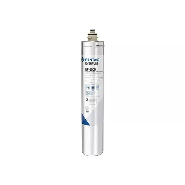 Pentair Everpure EF-6000 Cartridge EV985556 (6,000 gallons)