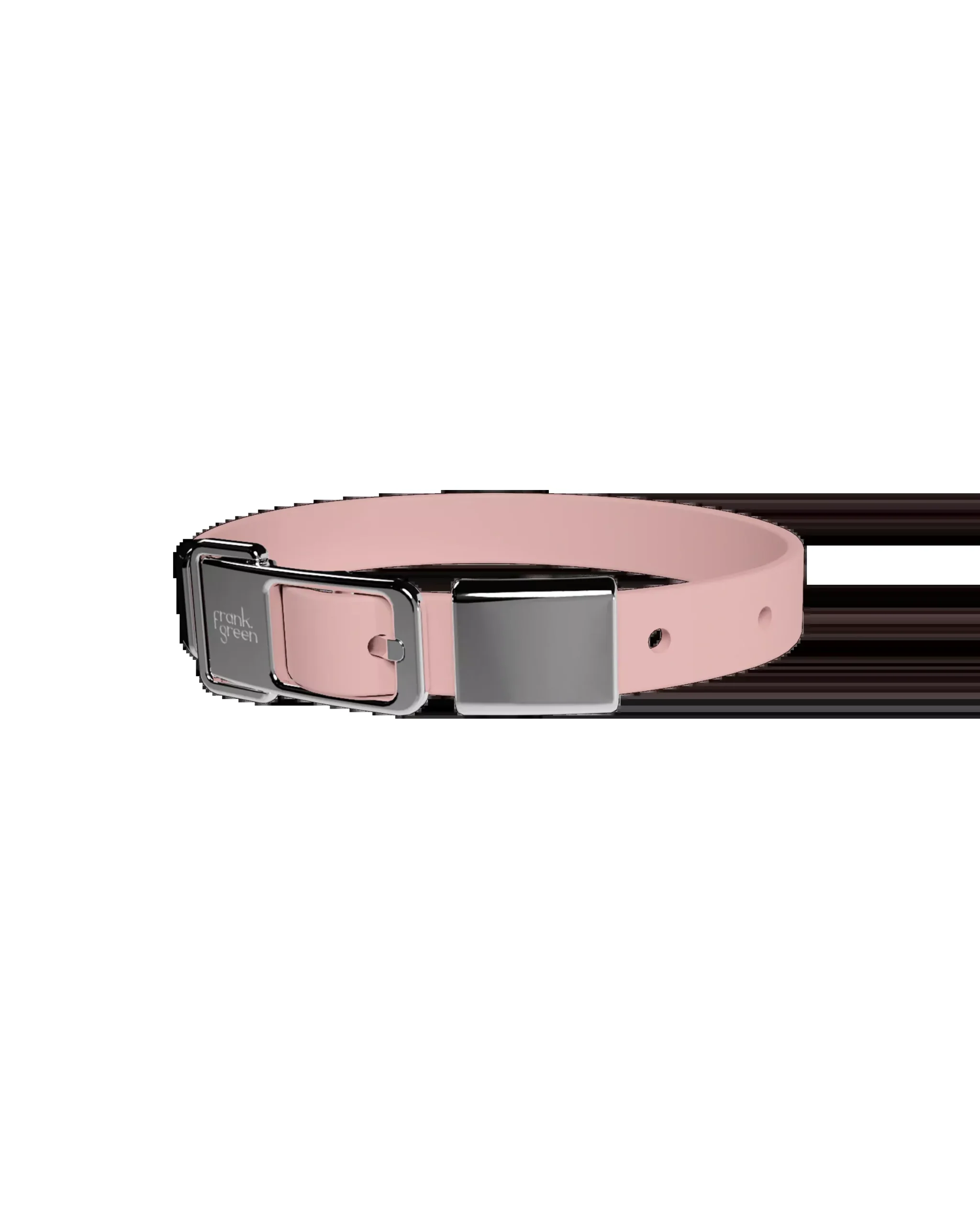 Pet Collar + Name Tag - Medium