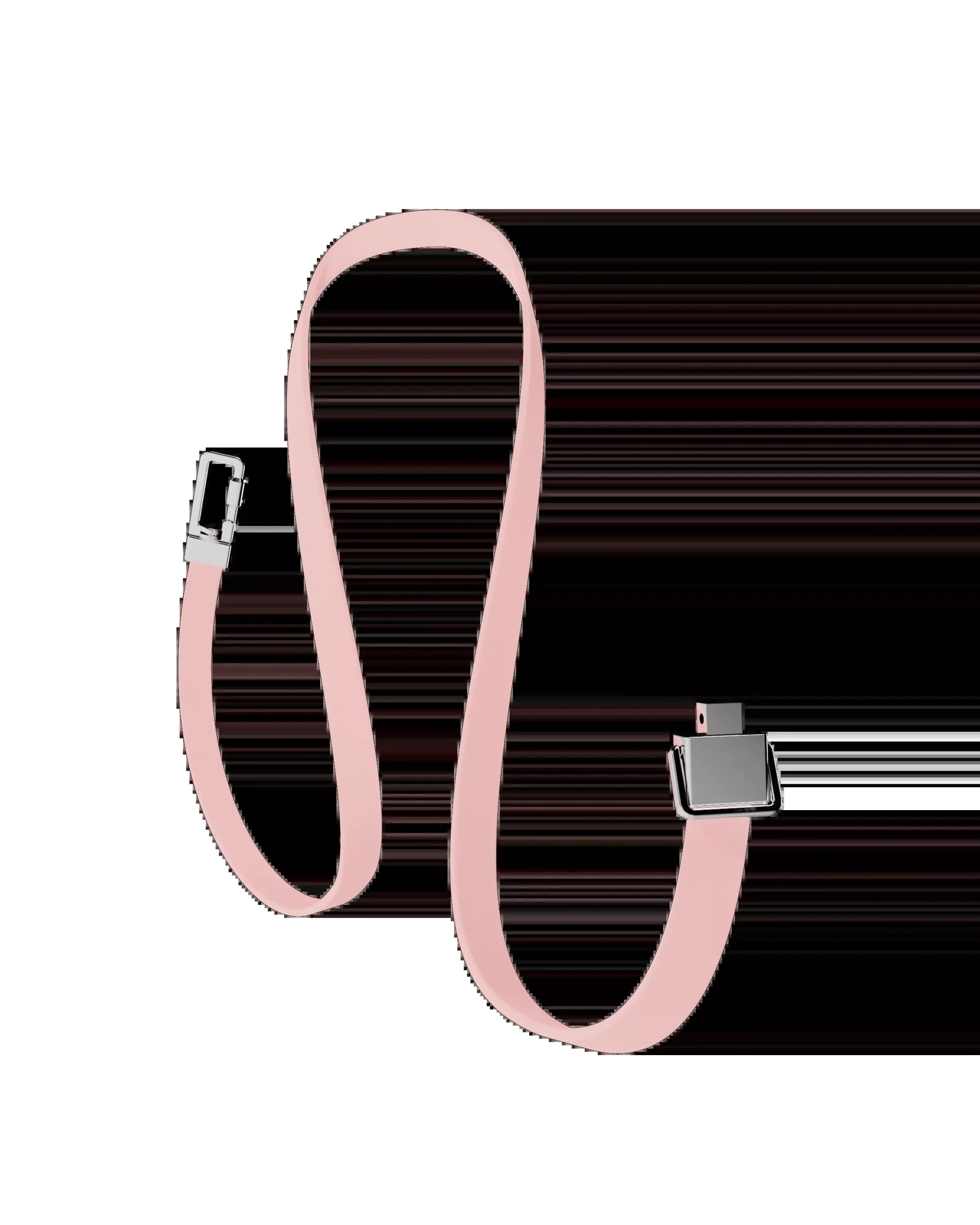 Pet Lead Base