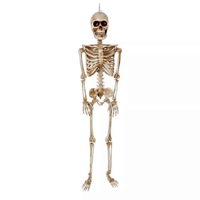 Posable Decorative Halloween Skeleton – 36"