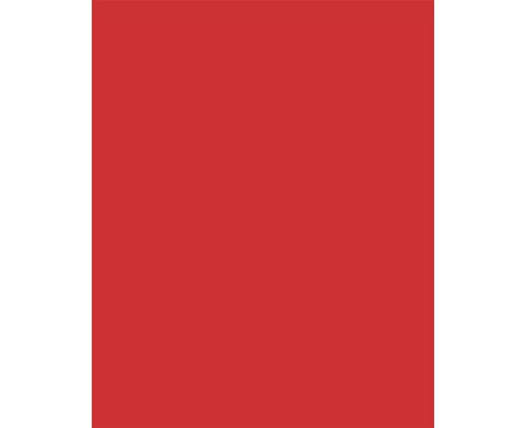 Red Tissue Paper – 8 Sheets
