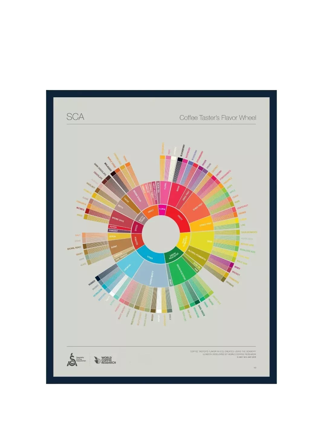 SCA The Coffee Taster's Flavour Wheel Poster