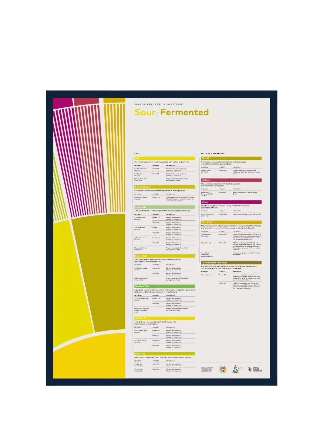 SCA Flavour Perception in Coffee Poster (Sour/Fermented)
