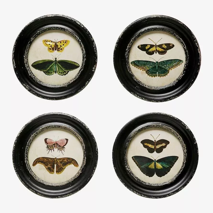 Set of Four Vintage Reproduction Round Framed Moths & Butterfly Prints